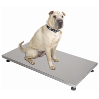 Body Weight Scale - Veterinary Digital